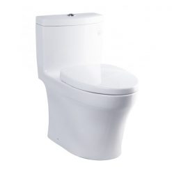 Bồn cầu một khối, nắp đóng êm MS889DT3