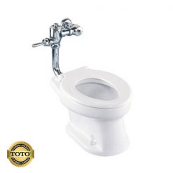 ban_cau_don_toto_cw425j_w_1b687537cf5446b0a40ecbc86e9dba46.jpg