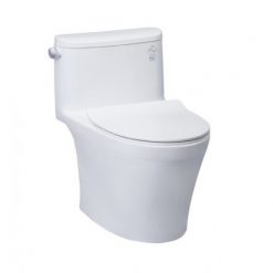 bon-cau-toto-ms887rt8-jzy8s_b122ee7bb32043469affe4ccd4d2f85e.jpg